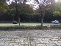 -高子水居