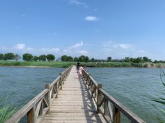 -野鸭湖国家湿地公园