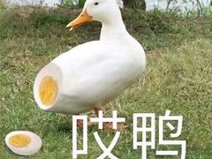 -袁记串串香(新南门店)