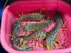 -班赞海鲜市场