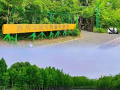 -苏州太湖国家湿地公园