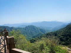 -大岭沟猕猴桃谷风景区