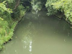 -同里国家湿地公园
