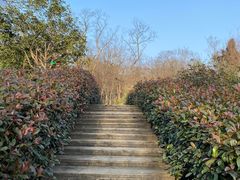 -南京老山国家森林公园