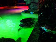 -华夏文旅海洋公园