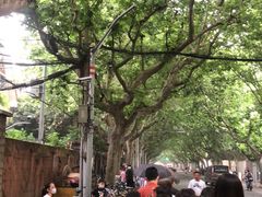 -上海市皮肤病医院(武夷路院区)