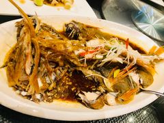 清蒸长寿鱼-江南原著(中联广场店)