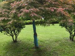 -东钱湖旅游度假区