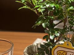 -CURRY YA 熟成咖哩專門店(深圳湾万象城店)