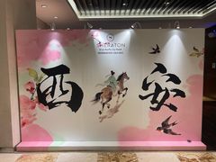 -西安赛瑞喜来登大酒店