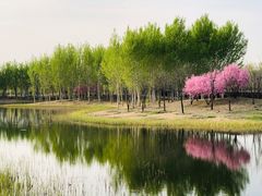 -东郊湿地公园