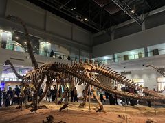 -自贡恐龙博物馆