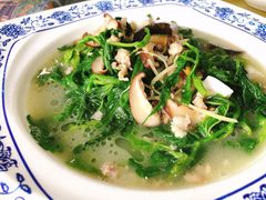 上汤桑叶-鲤鱼塘农家山庄