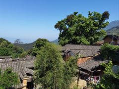 -杨家堂村