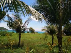 -亚龙湾海底世界