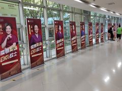 -上海中医药大学附属曙光医院(东部)