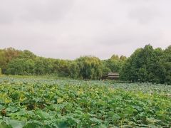 -苏州东太湖生态园