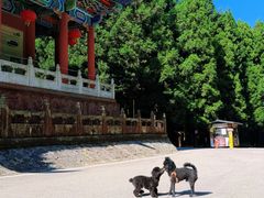 -武陵山森林公园