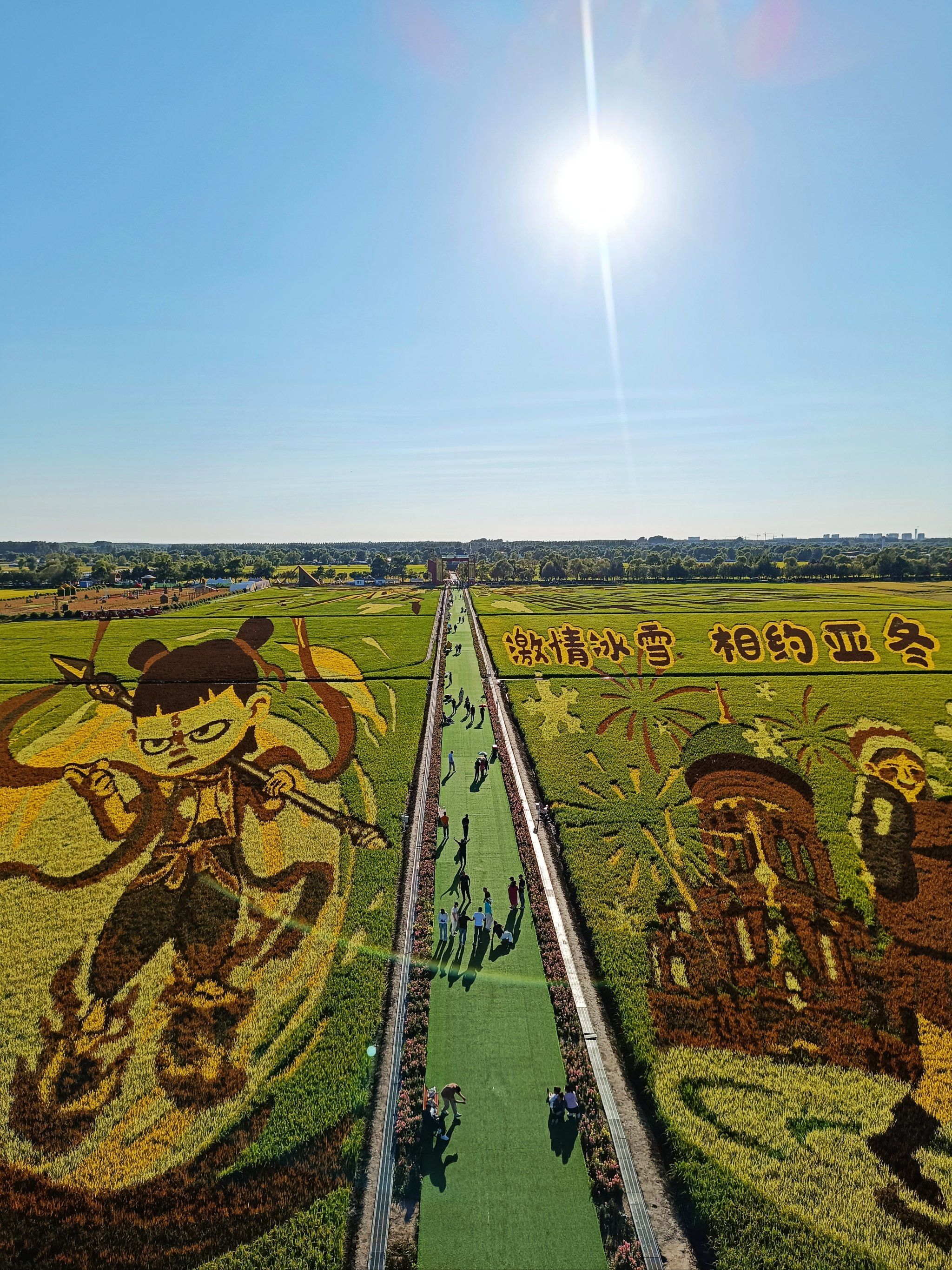 走进稻田画,看看闫家岗的风吹麦浪