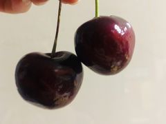 -菜园坝水果市场