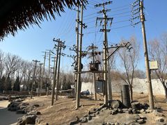 -北京野生动物园