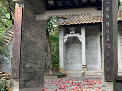 -深圳国际园林花卉博览园