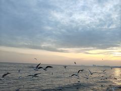 -老虎石海上公园