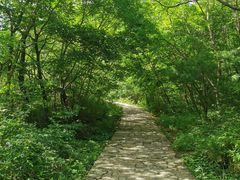 -青峰峡国家森林公园