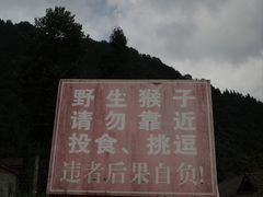 -九峰山