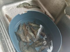 -盒马鲜生(文景博乐里购物广场店)
