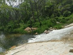 -招虎山国家森林公园-售票处