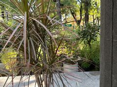 -BOCATA 西班牙餐厅(三里屯店)