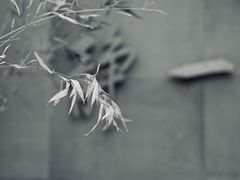-静一餐厅·湖北菜(前门店)
