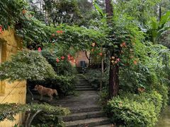 -生态园山庄(森林公园店)