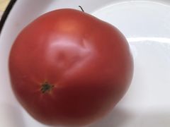 -隆福寺小吃店(东四店)