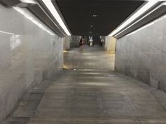 -沈家门渔港
