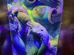 -太平洋海底世界