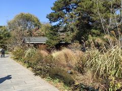 -香山公园