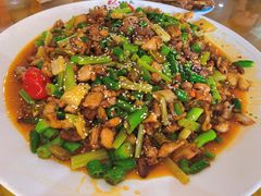 -功夫兔
