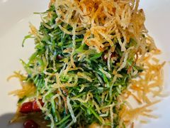 巧拌豆苗-四季民福烤鸭店(王府井灯市口店)