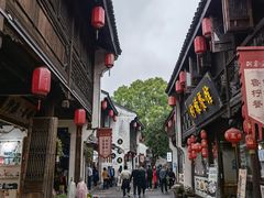 -鲁镇
