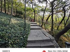 -信号山公园
