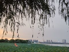 -云龙湖旅游景区