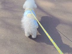 -张福记(陇海中路店)