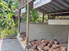 -大象粑粑造纸公园