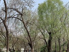 -元大都城垣遗址公园