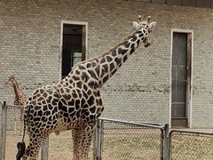 -石家庄市动物园