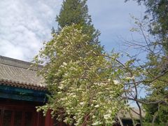 -大钟寺古钟博物馆