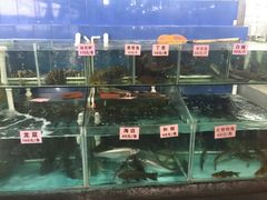-勒南公舍(龙江店)