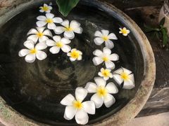 -100蛋泥浆浴